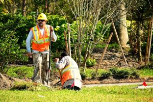 Construction workers in reflective vests and hardhats working outdoors on a landscaping project.